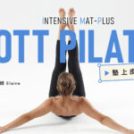 11/7-23 STOTT PILATES 斯多特普拉提 IMP墊上皮拉提斯 師資培訓 (周末班)