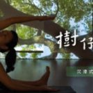 迎向 621 國際瑜珈日：走入內心的巨木森林．【Yoga Journey x 樹仔聲】沉浸式光影音樂瑜珈特別課